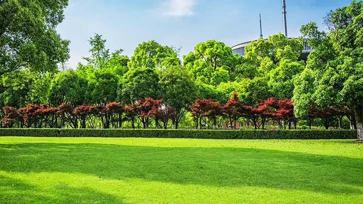 DLF Privana Apartments